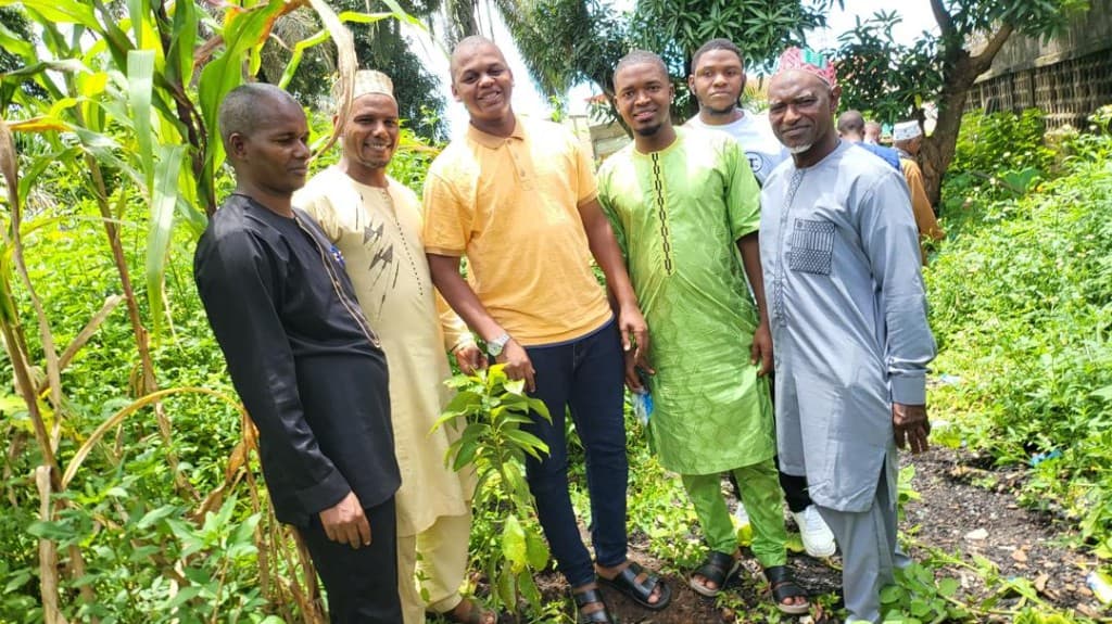 Plantation d’un jeune plant au jardin